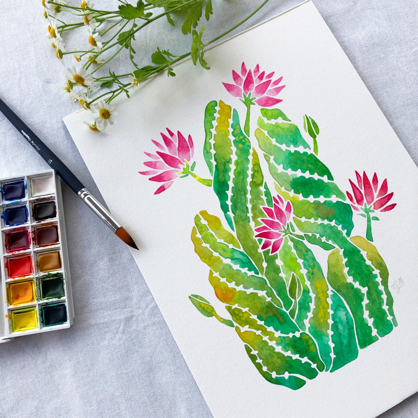 Cactus