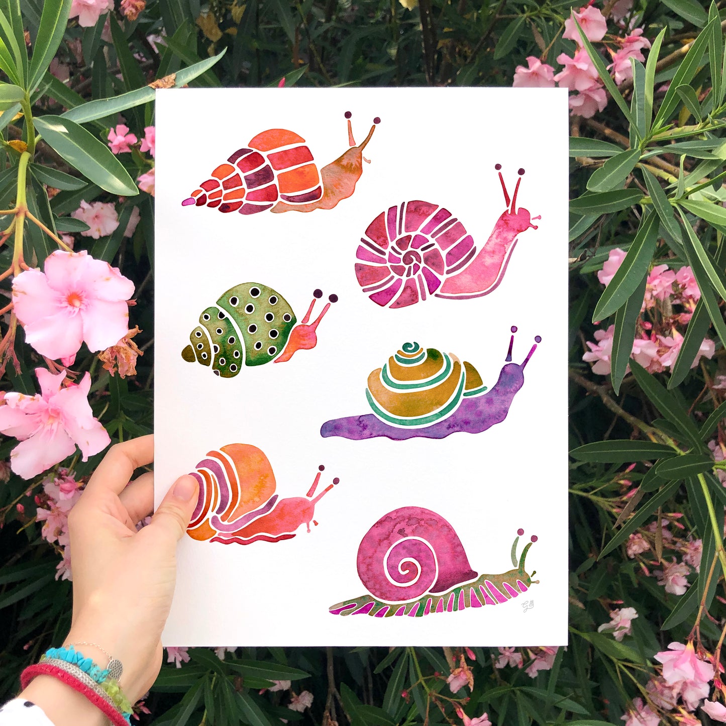 Snails