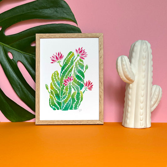 Cactus