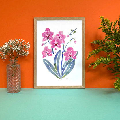 Orchid