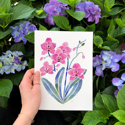Orchid